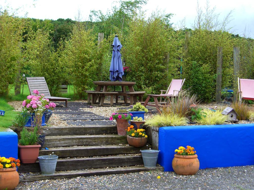 The Village Studio Apartments Moate Habitación foto