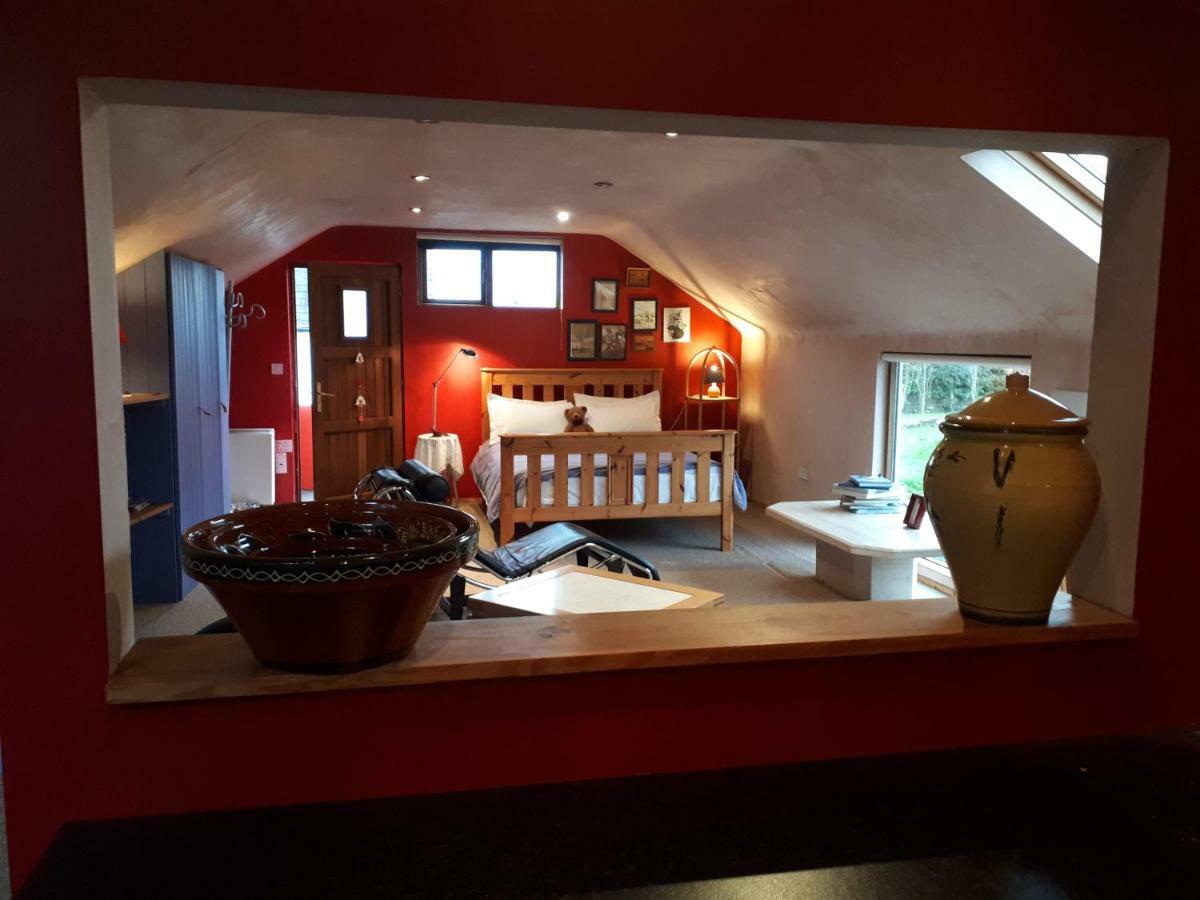 The Village Studio Apartments Moate Exterior foto
